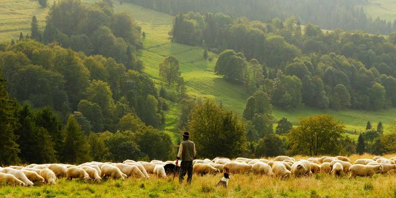 LlamaIndex